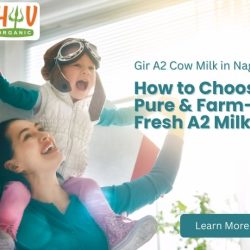 Gir A2 Cow Milk in Nagpur: How to Choose Pure & Farm-Fresh A2 Milk