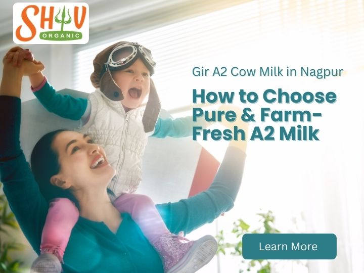 Gir A2 Cow Milk in Nagpur: How to Choose Pure & Farm-Fresh A2 Milk
