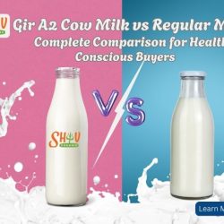 Gir A2 Cow Milk vs Regular Milk: Complete Comparison for Health-Conscious Buyers