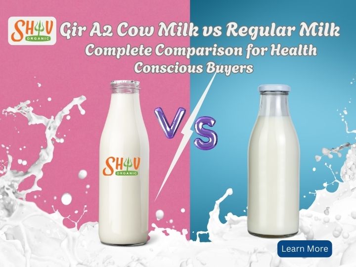 Gir A2 Cow Milk vs Regular Milk: Complete Comparison for Health-Conscious Buyers