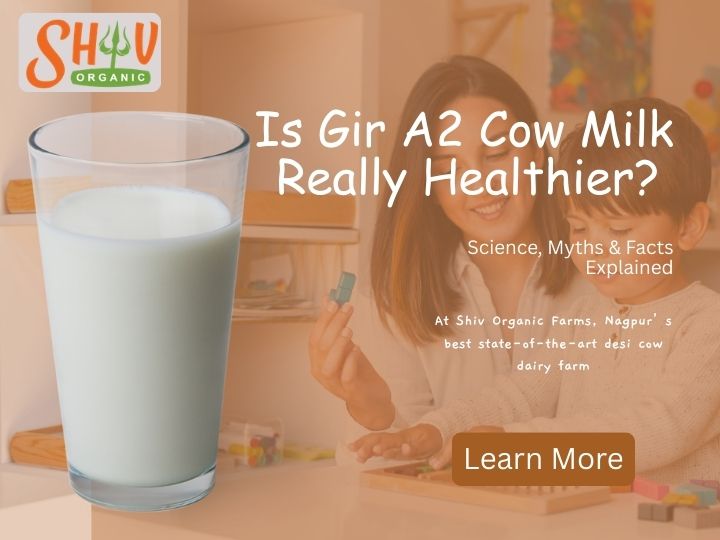 Is Gir A2 Cow Milk Really Healthier? Science, Myths & Facts Explained