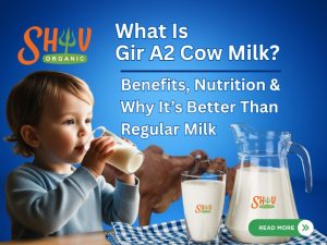 What Is Gir A2 Cow Milk? Benefits, Nutrition & Why It’s Better Than Regular Milk