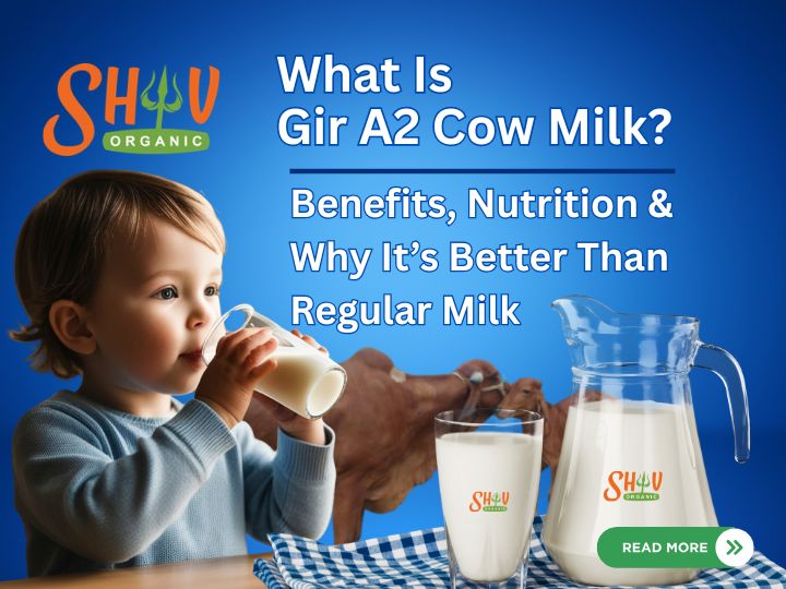 What Is Gir A2 Cow Milk? Benefits, Nutrition & Why It’s Better Than Regular Milk