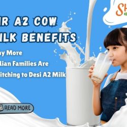 Gir A2 Cow Milk Benefits: Why More Indian Families Are Switching to Desi A2 Milk