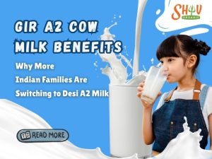 Gir A2 Cow Milk Benefits: Why More Indian Families Are Switching to Desi A2 Milk