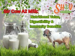 Gir Cow A2 Milk: Nutritional Value, Digestibility & Immunity Benefits