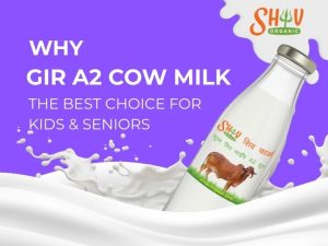 Why Gir A2 Cow Milk Is the Best Choice for Kids & Seniors