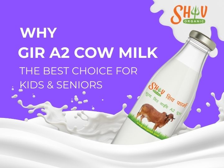 Why Gir A2 Cow Milk Is the Best Choice for Kids & Seniors