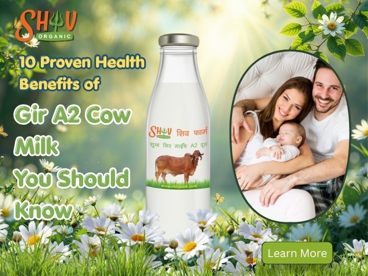 10 Proven Health Benefits of Gir A2 Cow Milk You Should Know