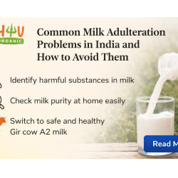 Common Milk Adulteration Problems in India and How to Avoid Them