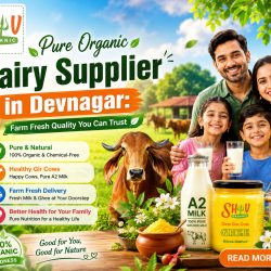 Pure Organic Dairy Supplier in Devnagar: Farm Fresh Quality You Can Trust