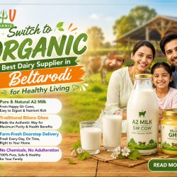 Switch to Organic: Best Dairy Supplier in Beltarodi for Healthy Living