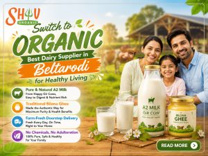 Switch to Organic: Best Dairy Supplier in Beltarodi for Healthy Living