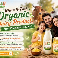 Where to Find Organic Dairy Products Near Chhatrapati Square? A Complete Guide for Health-Conscious Families in Nagpur