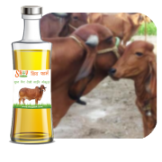 Desi Gir Cow Gomutra