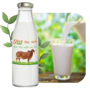 Gir Cow A2 Milk